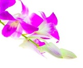 Image de soi/Marketing de soi